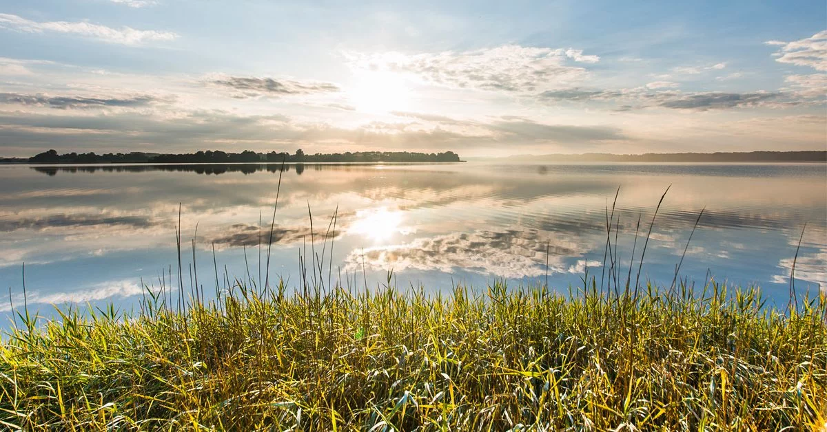 Salzwiesenlandschaft an der Schleimündung bei Maasholm