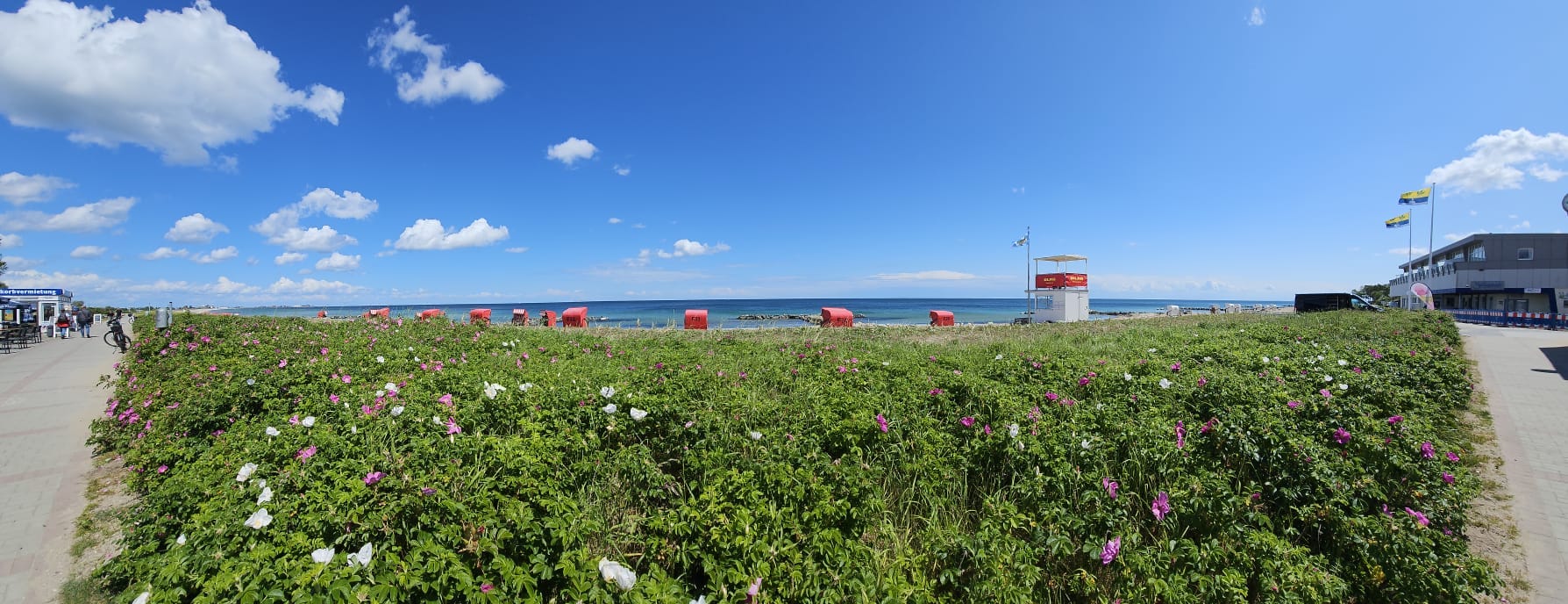 Familienfreundlicher, flach abfallender Strand in Schönhagen
